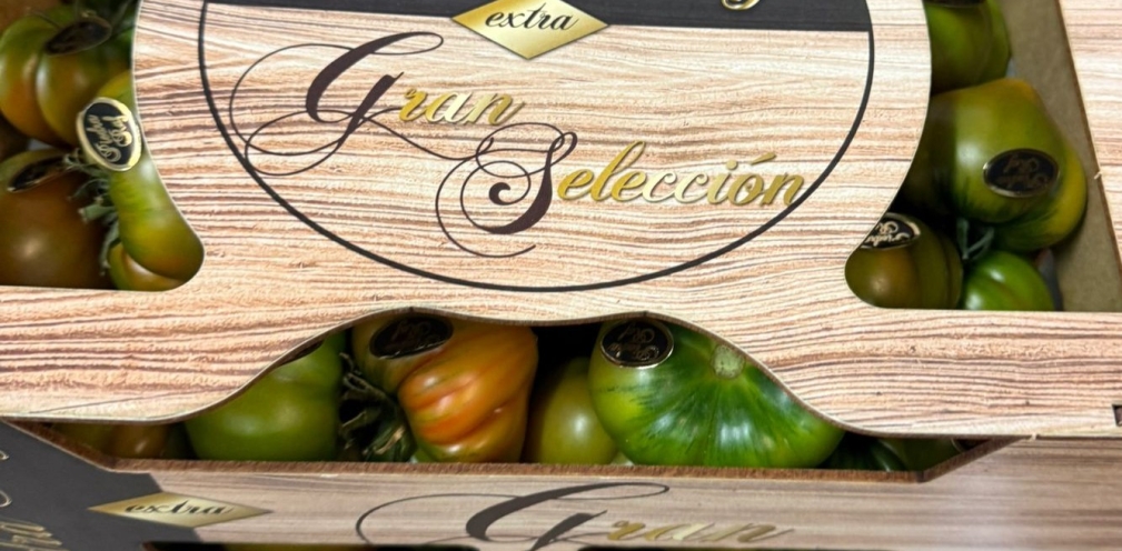 Tomate Piedra Raf GRAN SELECCIÓN
